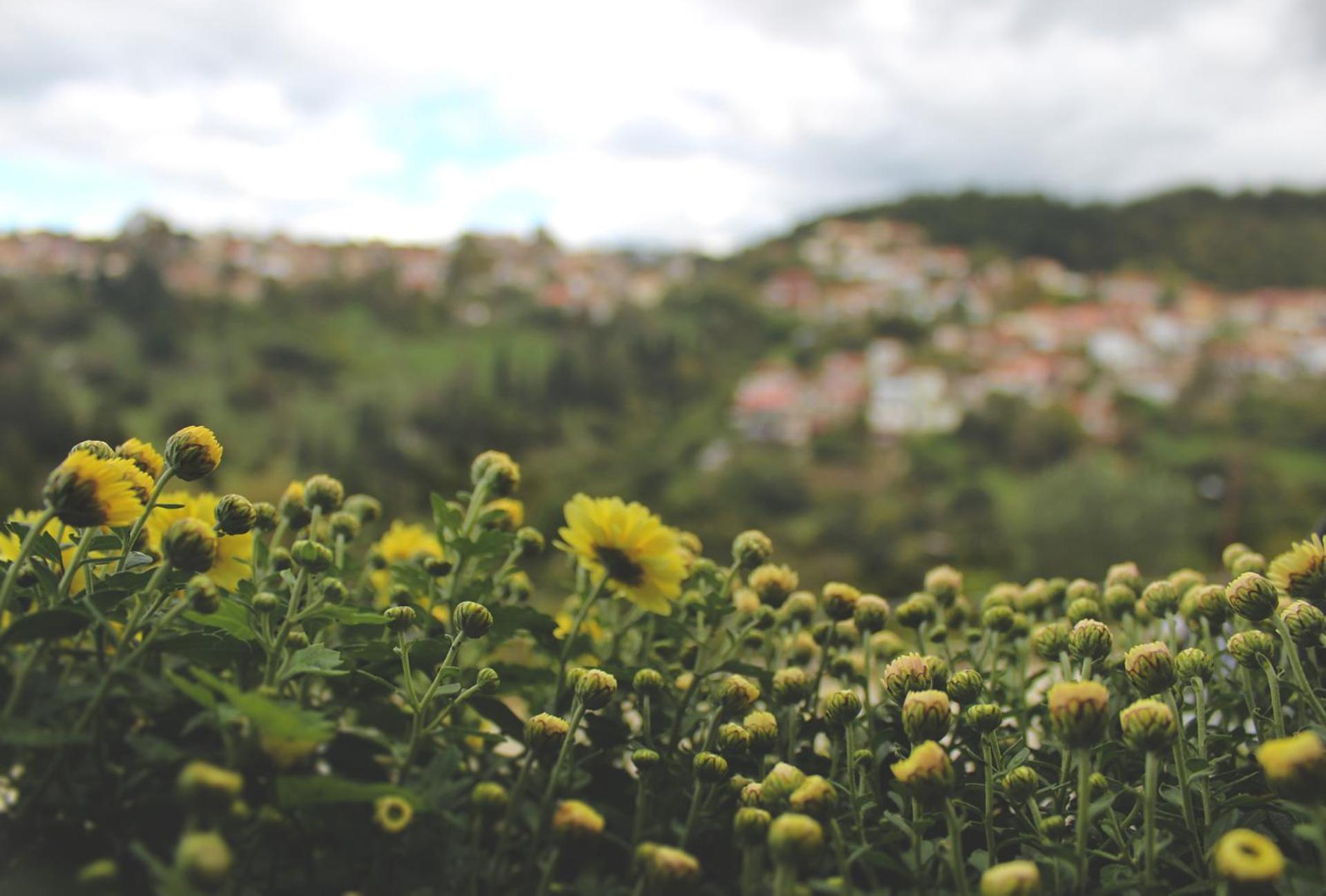 Agnanti Zitsas Hotel מראה חיצוני תמונה