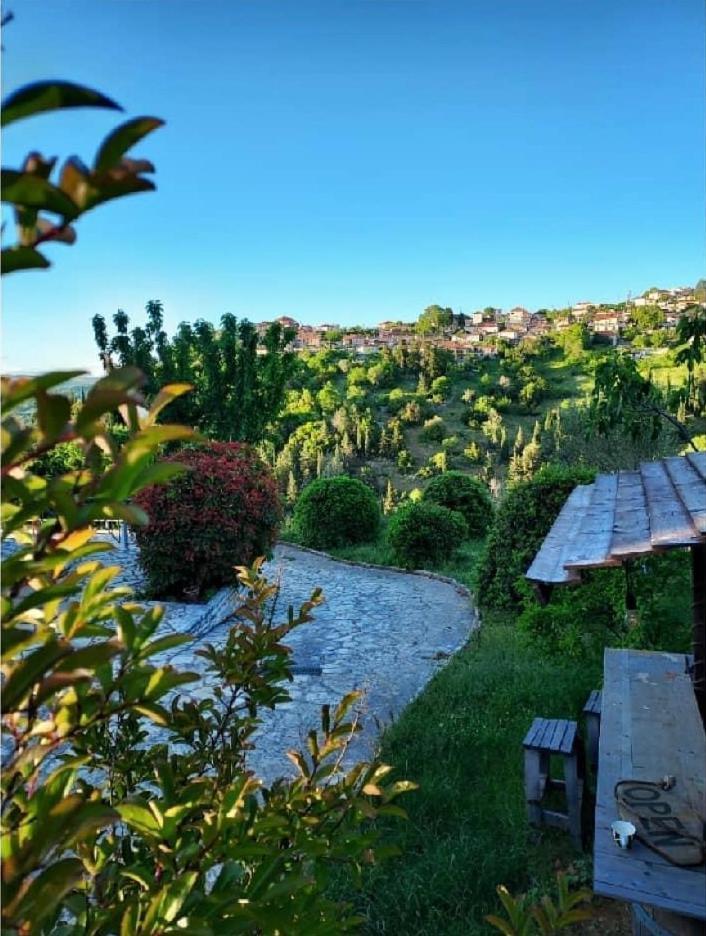 Agnanti Zitsas Hotel מראה חיצוני תמונה