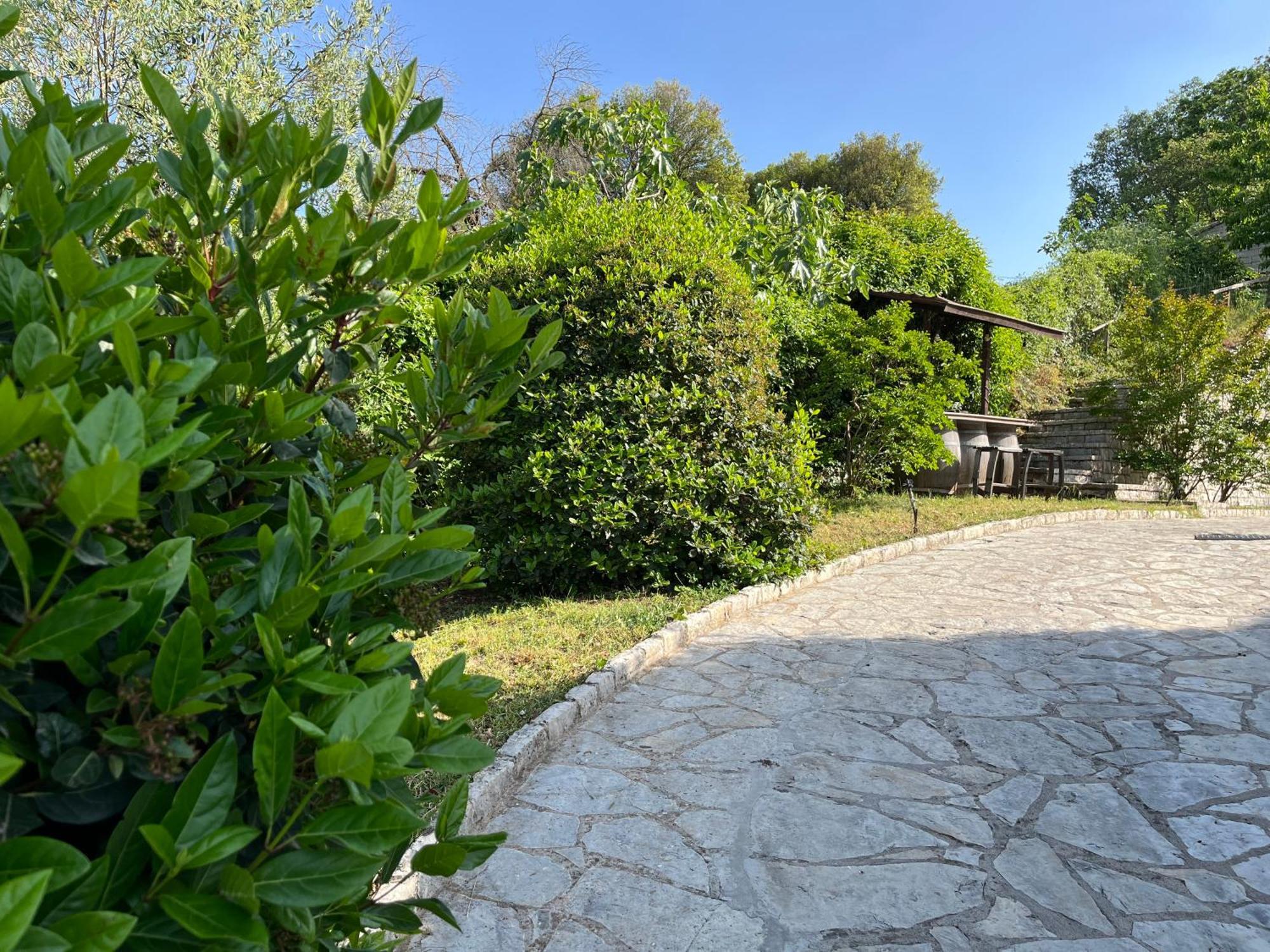 Agnanti Zitsas Hotel מראה חיצוני תמונה